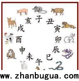 各科都無法回避的硬知識：天干地支（假期猛學）
