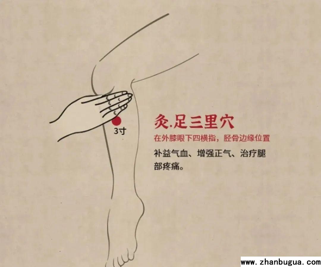 《黃帝內經》精華！收藏版