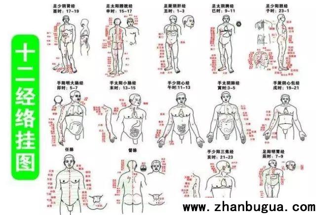 經絡歌，5分鐘搞懂14經絡都能治療哪些病
