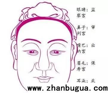 麻衣神相（基礎框架入門）