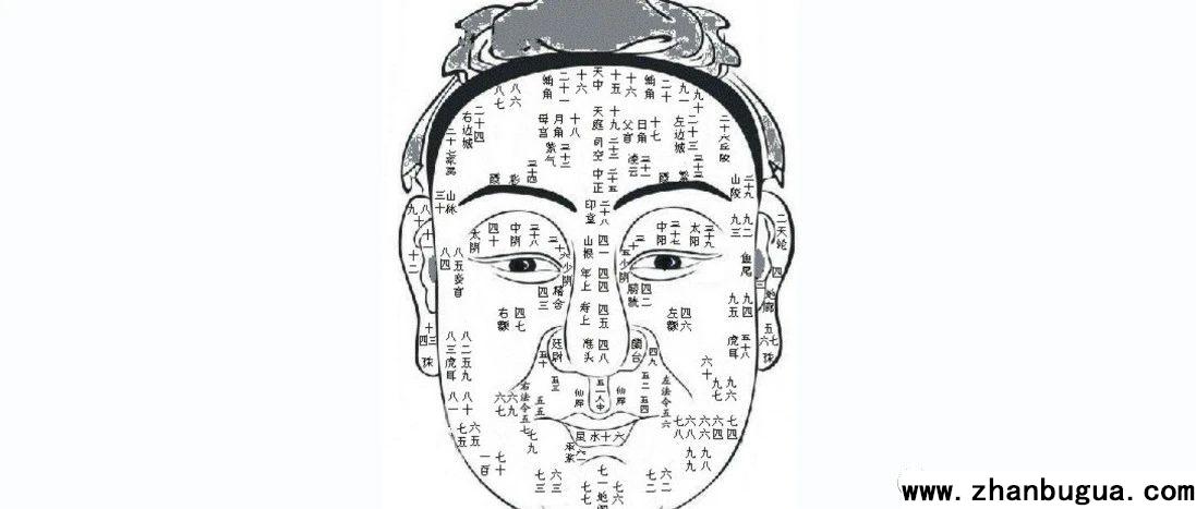 面相流年：20-66歲