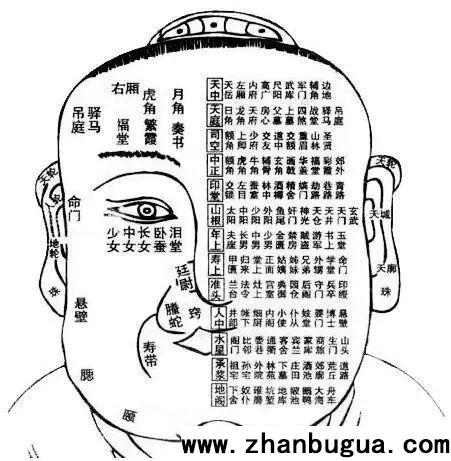 面相實戰口訣【2024修訂版】（精簡記憶）
