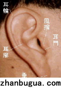 實用面相學（真人圖解，全新整理