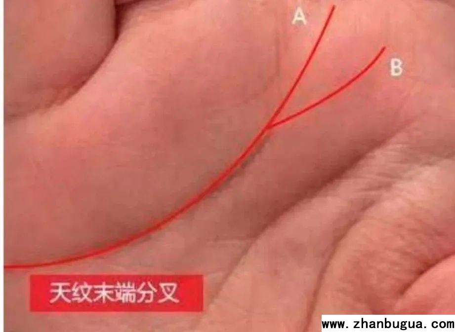 看相不看手，神仙難張口