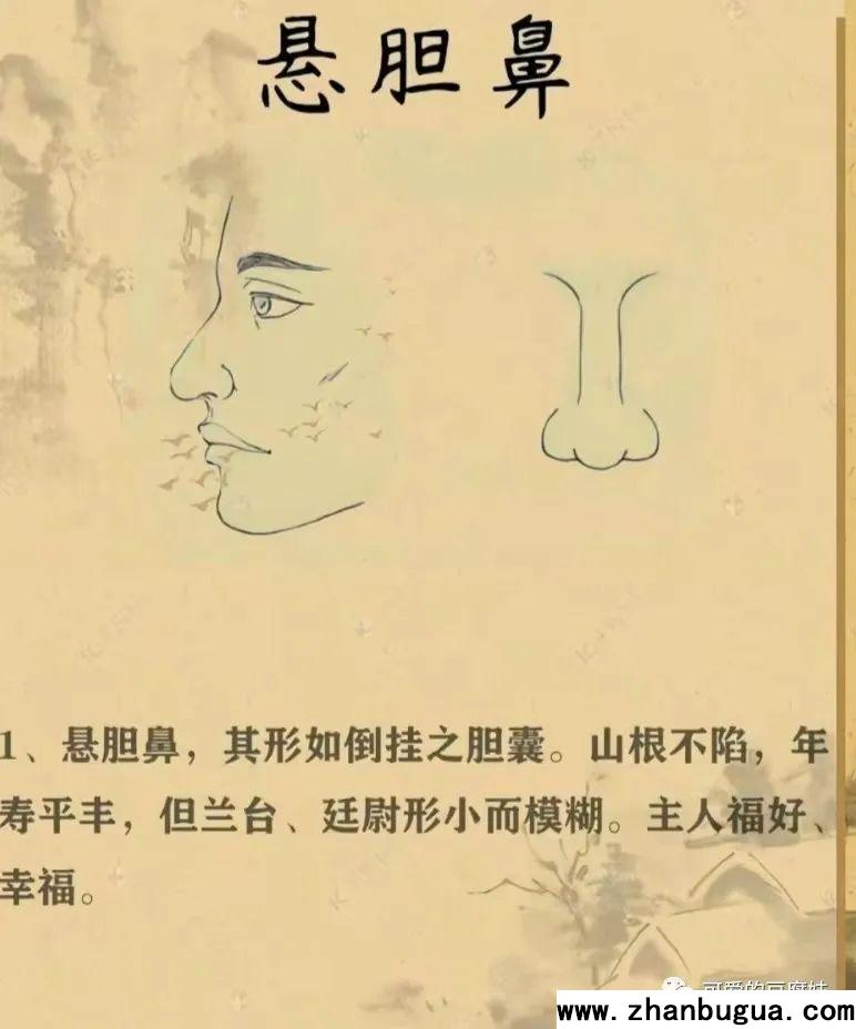 五官相面學——鼻子