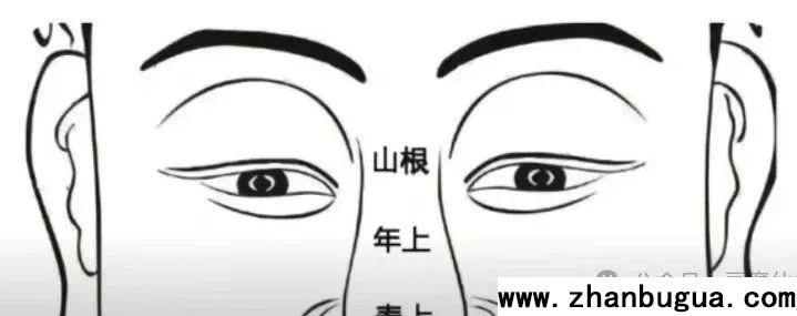 五官相面學——低山根