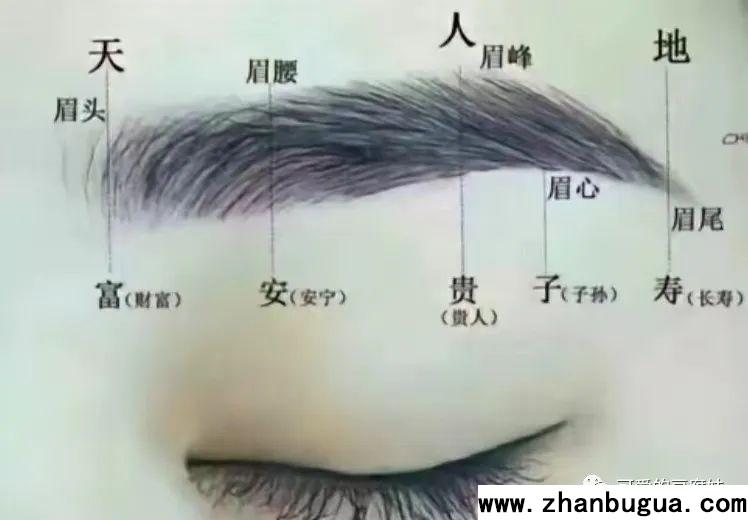 五官相面學——眉毛