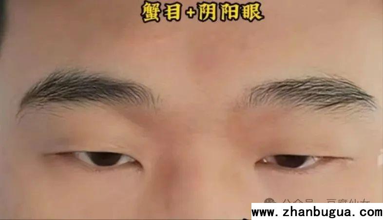 五官相面學——蟹目
