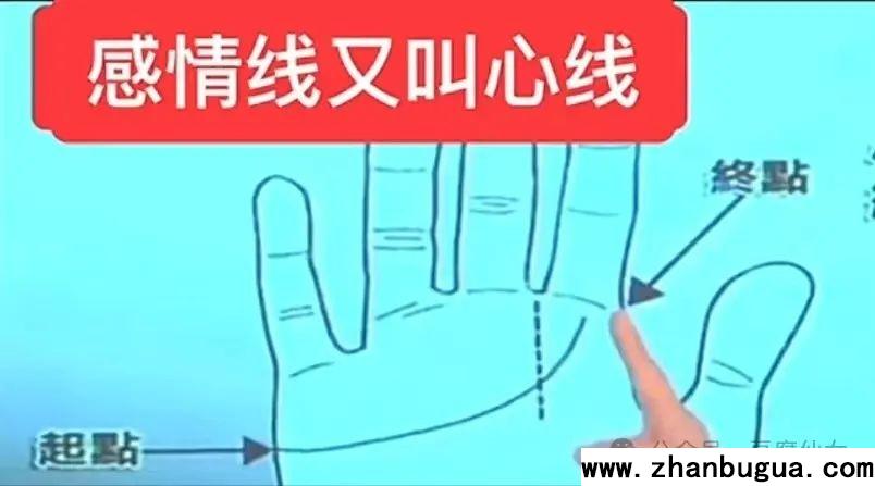 手相基礎——感情線