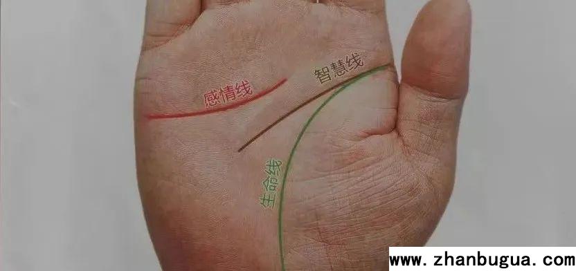 手相基礎——生命線