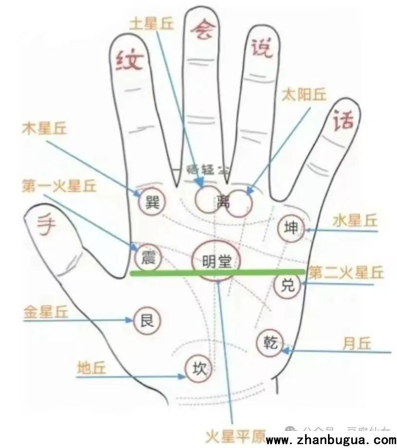 手相基礎知識