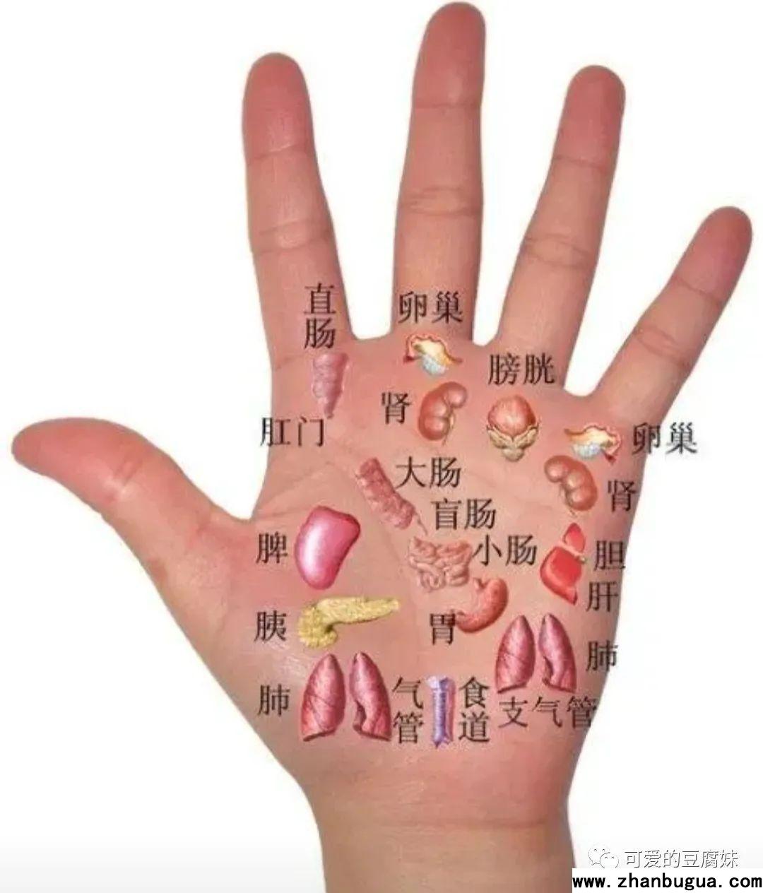 手相學——生命線