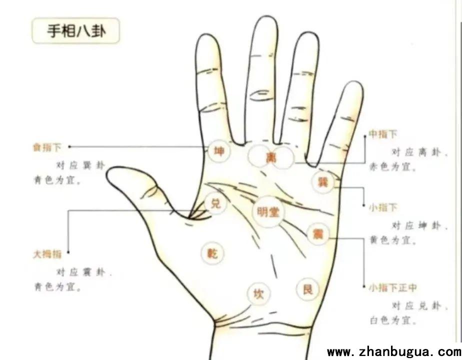 手掌其他相關描述