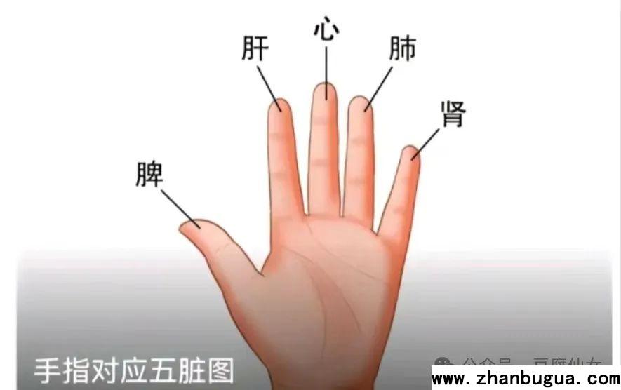 五種手型——金木水火土
