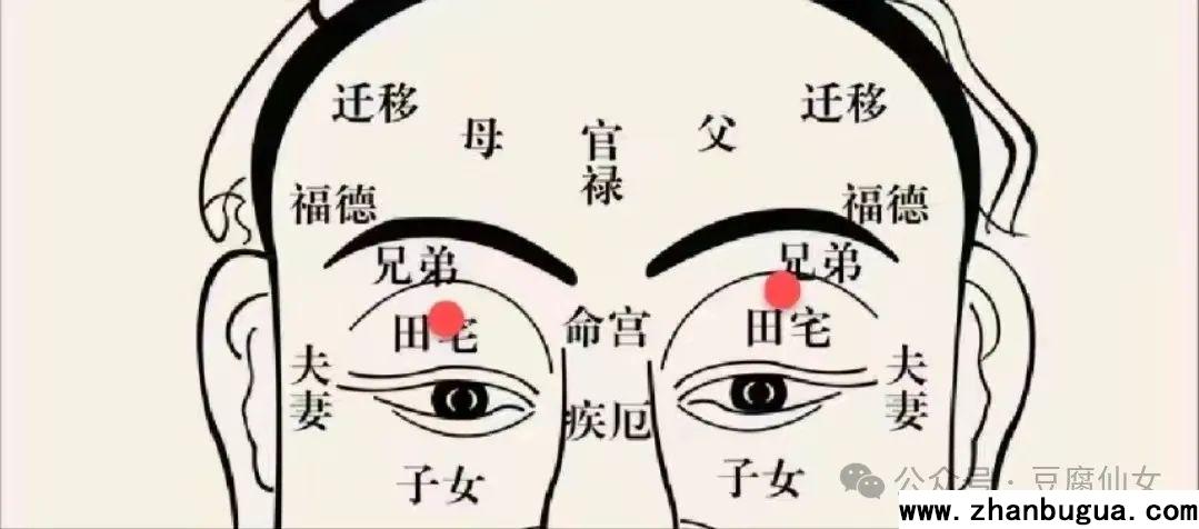 紫薇十四星在田宅宮的作用