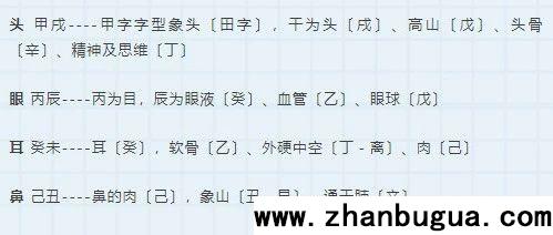 五行和身体部位对照表