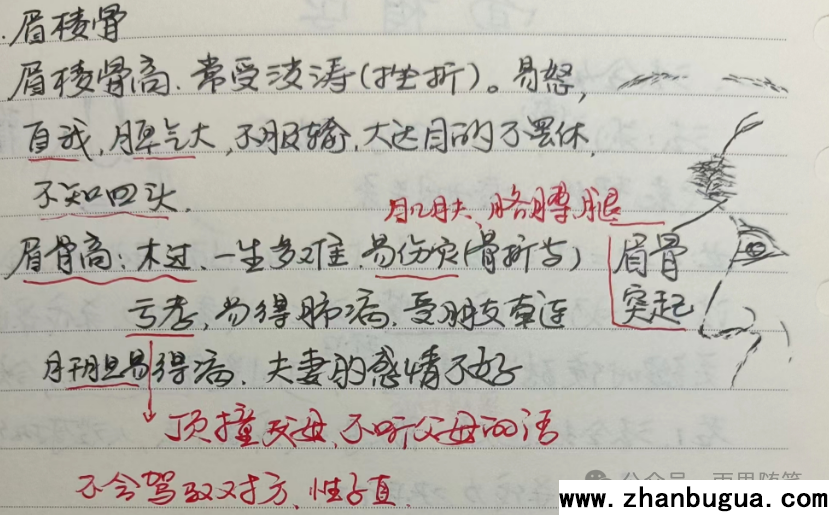 面相浅论之“眉棱骨高”