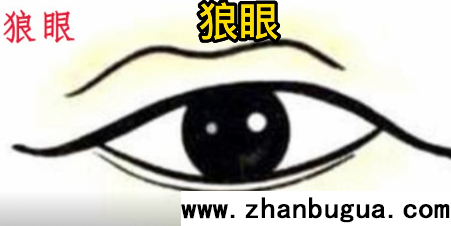 面相深论之“眉眼”系列—01狼眼竖眉