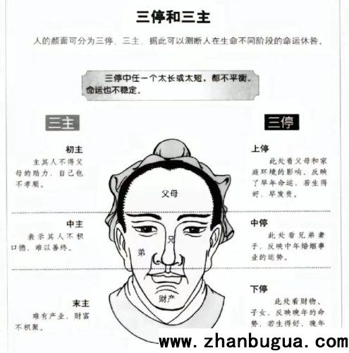 圓鼻頭還是尖鼻頭好？