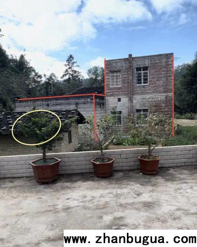 房屋風水：屢屢受傷的家主