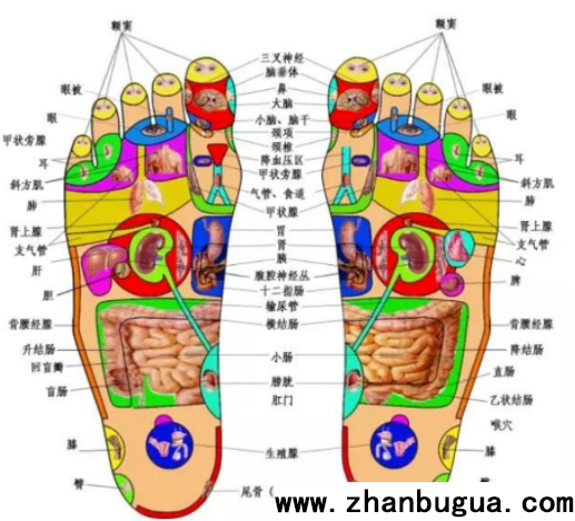 華佗秘笈足心道，按腳底防百病