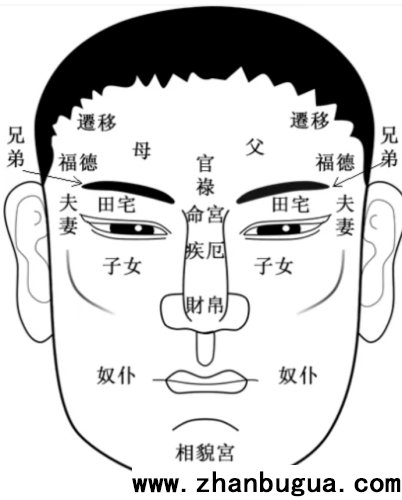 面相與十神對應關系
