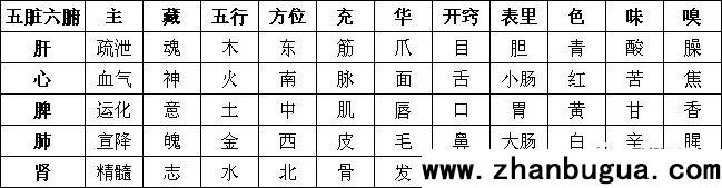 命相基礎：五行與五臟