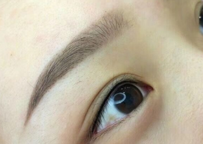從眉毛看才氣看性情【上】