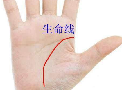 從手看出性格與愛好等
