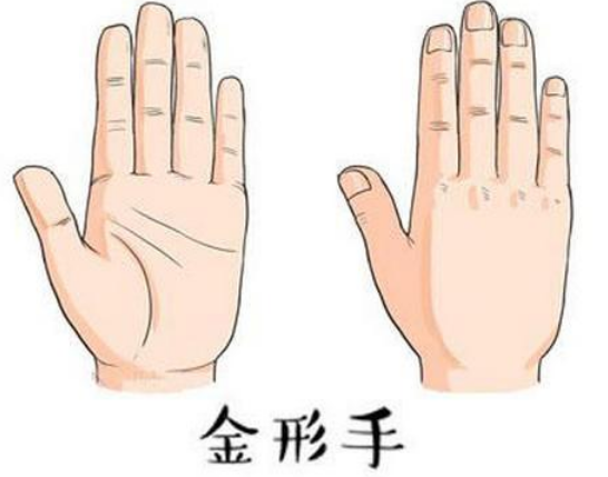 從手看事業職業特長