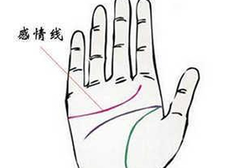 從手紋看情感緣份的傾向
