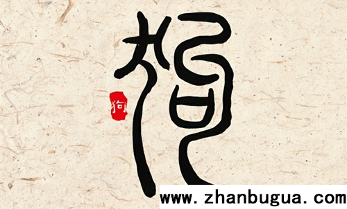 生肖狗今年多大年齡2024 2024屬狗的年齡表