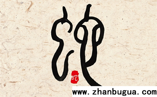 生肖蛇今年多大年齡2024 2024屬蛇的年齡表