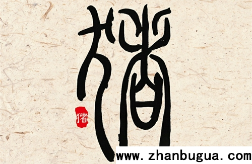 生肖豬今年多大年齡2024 2024屬豬的年齡表