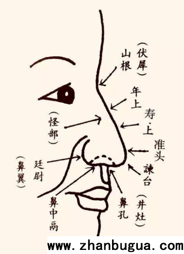 不聚財的鼻子