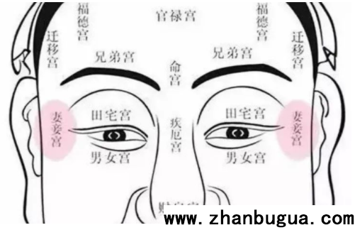 夫妻宮看姻緣