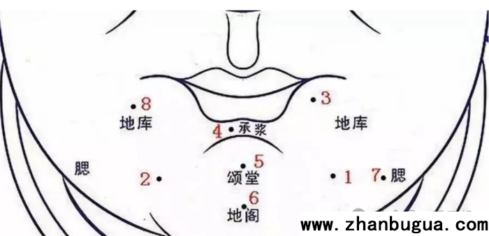 各式下巴看多樣人生