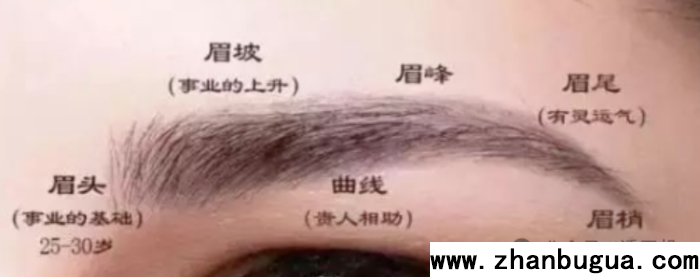 眉是兄弟報壽，能看心性情感