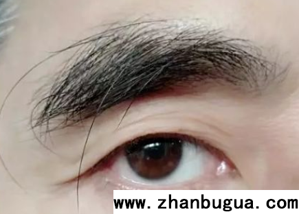 眉長萬擔糧，眉缺多悲傷