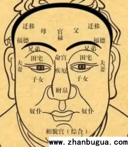 面相基本功：十二宮相學。收藏了，返程路上看