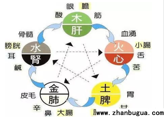 面相與身體：心對舌，肝對目，脾對口，肺對鼻，腎臟對耳朵