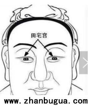 面相知識總結