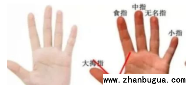 拇指相法專論