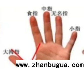 拇指相法專論：無聲時聽驚雷，細節處得真知