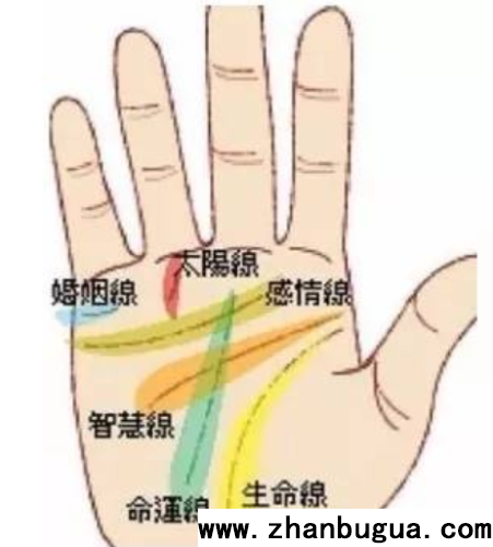 男左女右看看手相