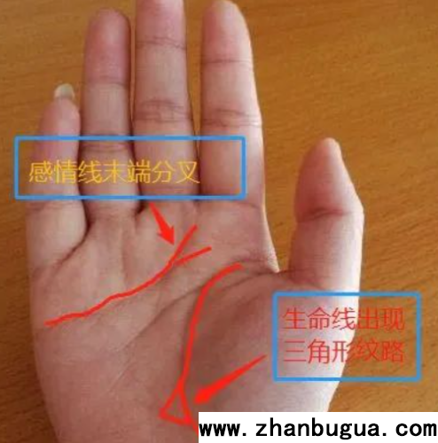 實戰手紋圖解