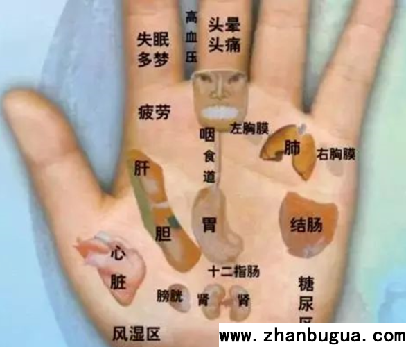 手診與健康