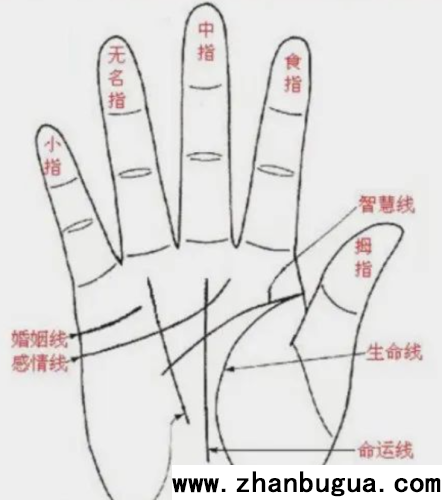 穩準狠的手相斷法
