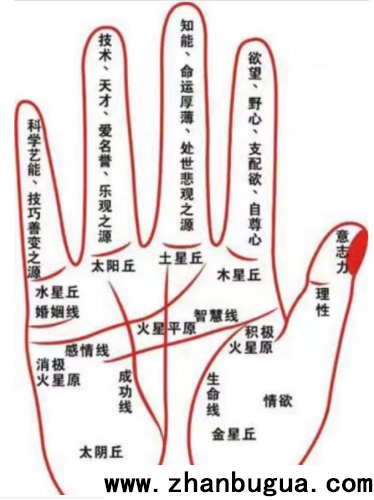 五指斷性格