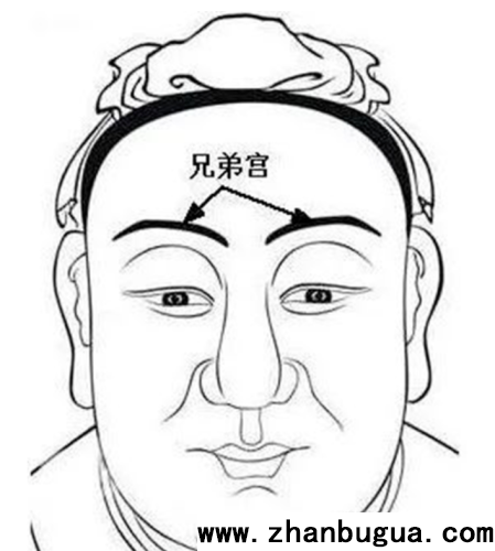 細論眉毛